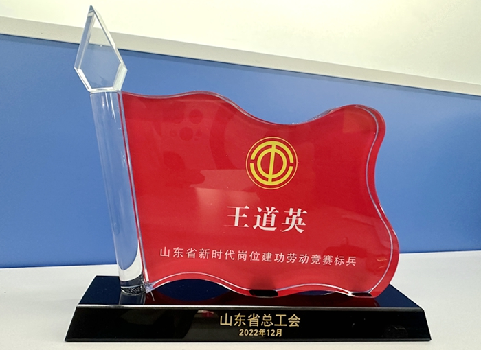 东方电子员工王道英荣获2022年度山东省新时代岗位建功劳动竞赛标兵称号
