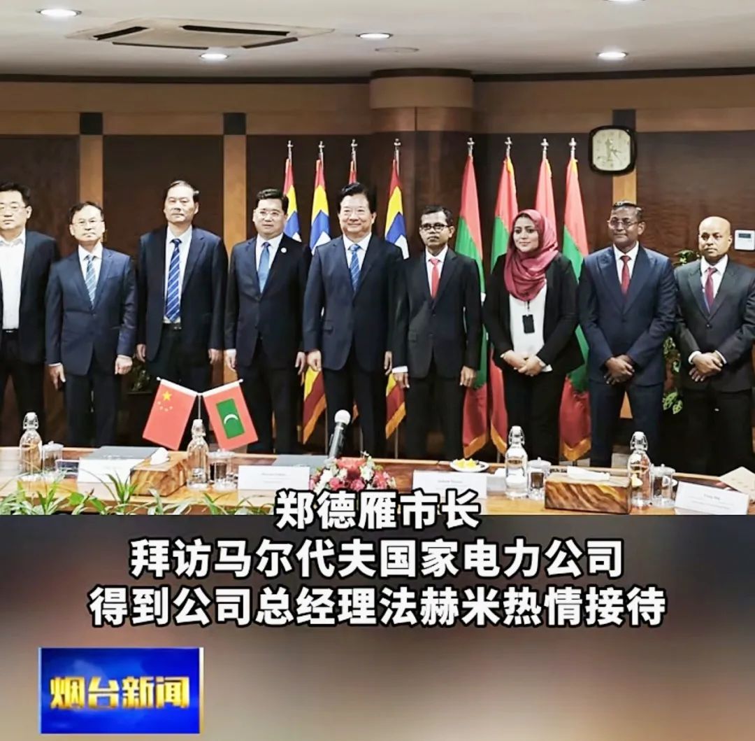 东方电子集团赴斯里兰卡、马尔代夫助力国际零碳岛屿建设